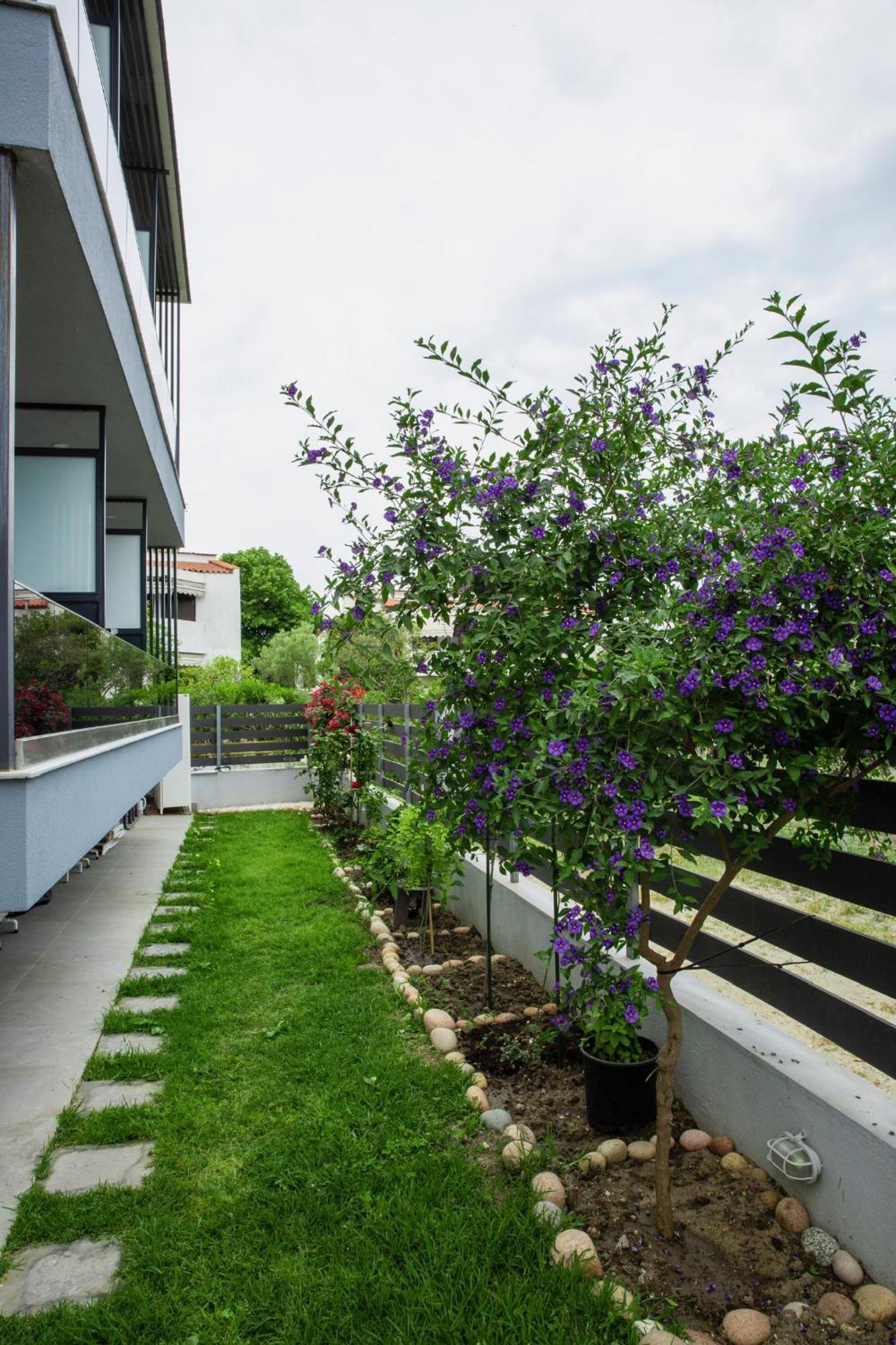 Artemida Suites 하니오티 외부 사진